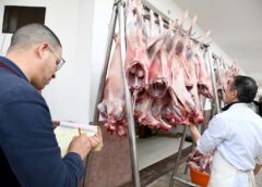 الزراعة: تنفيذ 250 حملة تفتيشية للحد من حالات الجزر العشوائي للماشية
