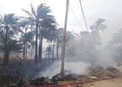 حريق مفاجئ يلتهم “الحزام الأخضر” شمالي ذي قار