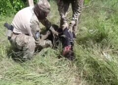 الأمن الفيدرالي الروسي يعتقل عميلا جندته كييف لتصوير مواقع عسكرية في القرم