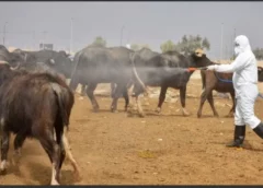 العراق يعلن ارتفاع الإصابات بالحمى النزفية إلى 107 بينها 16 حالة وفاة