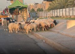 إجراءات صحية مشدد قبل العيد للحد من الحمى النزفية  في العراق
