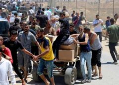 العفو الدولية: إسرائيل حولت طلب المساعدة إلى فخ مميت للفلسطينيين الجائعين