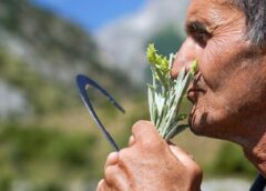 تفضيلك لهذه الرائحة يعني نقص معدن في جسمك